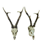 GEWEIH - Naturfarben, Basics, Kunststoff (23,5/39/24cm)