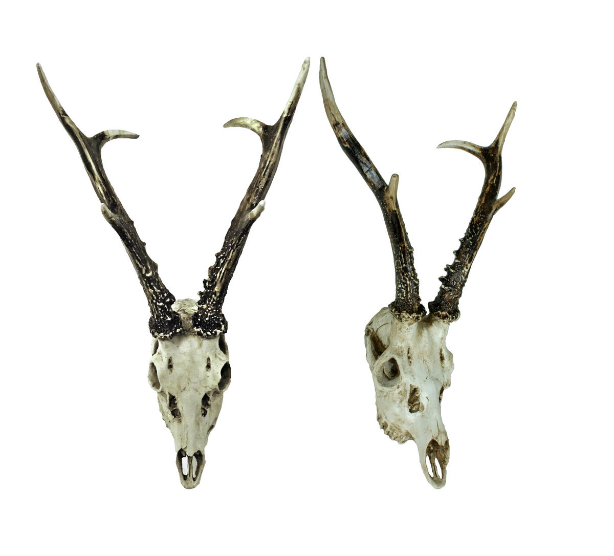 GEWEIH - Naturfarben, Basics, Kunststoff (23,5/39/24cm)