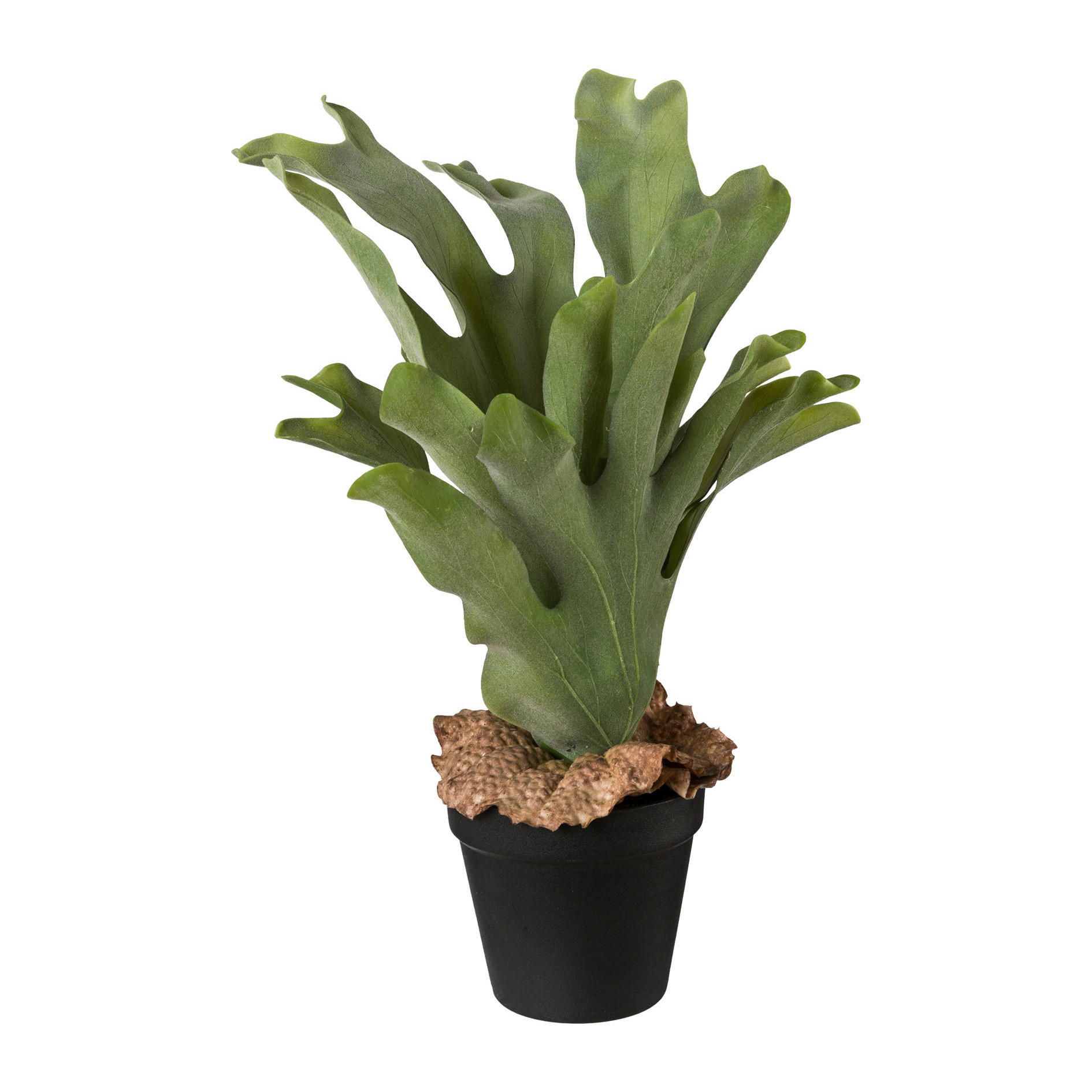 KUNSTPFLANZE 37 cm  - Schwarz/Grün, Basics, Kunststoff (37cm)