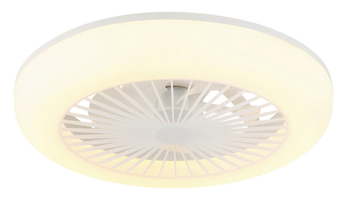 DECKENVENTILATOR Ferrell 45/140 cm  - Transparent/Opal, Design, Kunststoff (45/140cm) - Globo