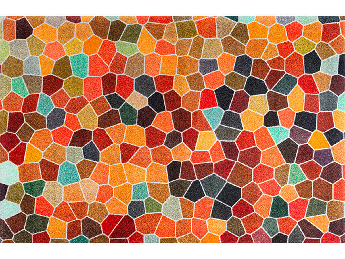 COVOR CU ȚESĂTURĂ PLATĂ Splendour  - multicolor, Konventionell, plastic/textil (110/175cm) - wash+dry
