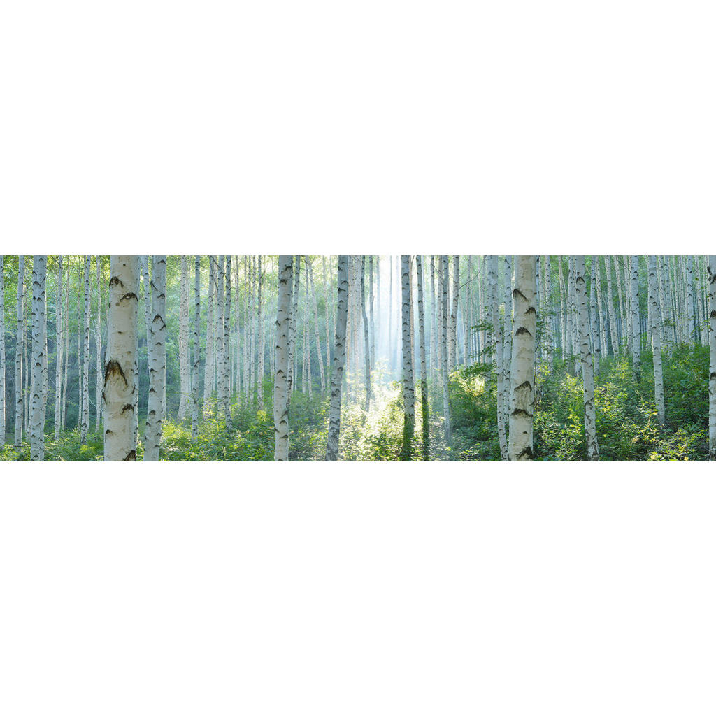 OBRAZ NA AKRYLOVÉM SKLE, stromy, 50/180/1,70 cm - zelená,bílá