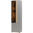 VITRINE Hellgrau  60,6/213,1/42 cm  - Anthrazit/Hellgrau, Design, Glas/Holz (60,6/213,1/42cm) - Dieter Knoll