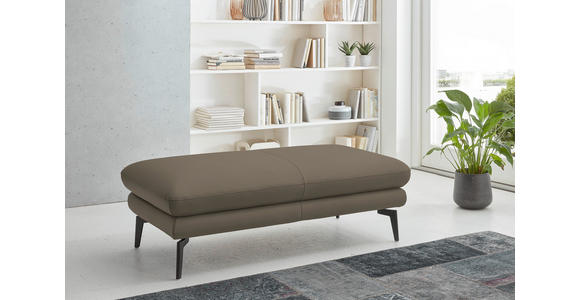 2,5-SITZER  in Echtleder Greige   - Greige/Schwarz, Design, Leder/Metall (196/86/104cm) - Dieter Knoll