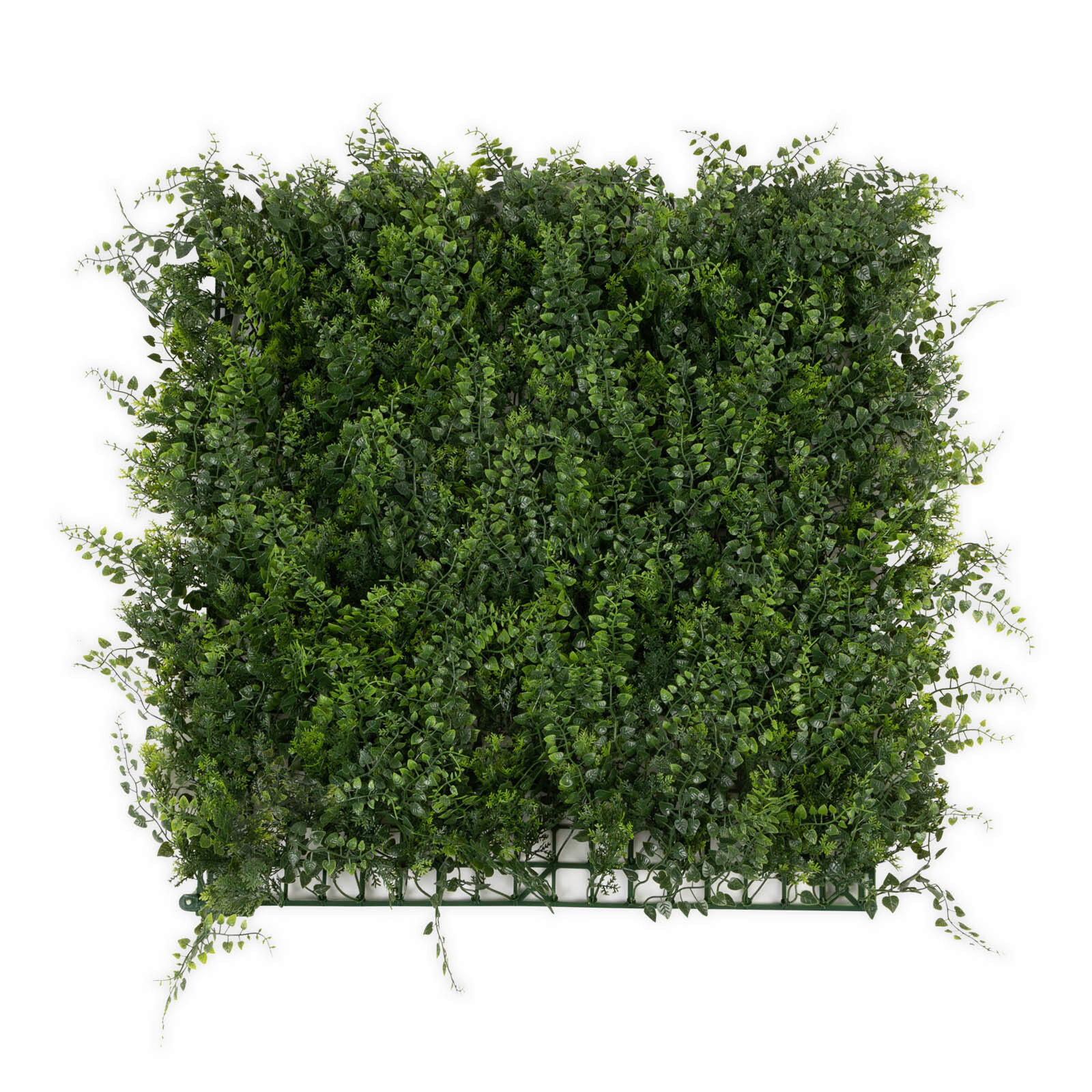 Wandverkleidung Pflanzenwand  Kunststoff  - Dunkelgrün/Jadegrün, Trend, Kunststoff (50/50cm) - Floordirekt