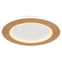 STROPNA LED-SVETILKA   //2700+6500 K/230 V/ - bela/opal, Basics, kovina/umetna masa (40/5cm) - Globo