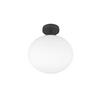 TAKLAMPA 30/33 cm  - vit/svart, Basics, metall/glas (30/33cm) - Trio Leuchten