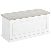 TRUHE in 90/43/38 cm  - Grau/Pinienfarben, LIFESTYLE, Holzwerkstoff (90/43/38cm) - Hom`in