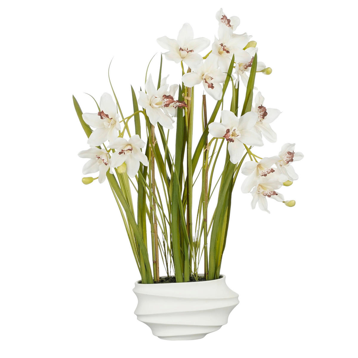 CIMBIDIJ - krem barve, Basics, umetna masa (49/40/81cm)