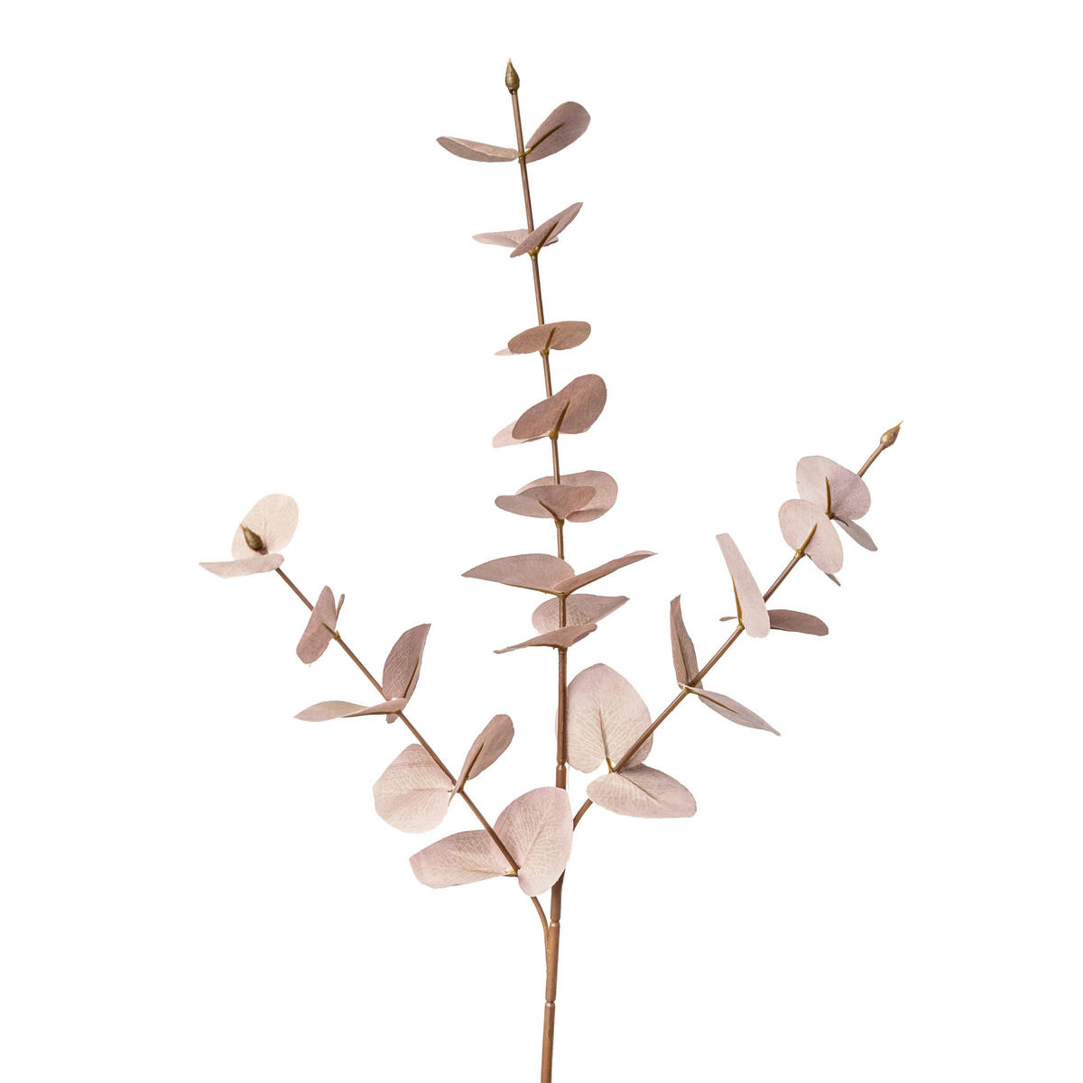 EUKALYPTUS ZWEIG - roza/svetlo roza, Basics, umetna masa/tekstil (68cm)