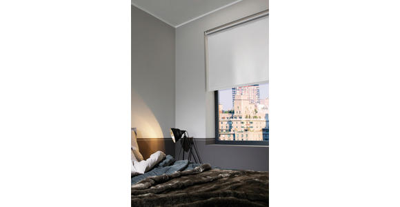 ROLLO 100/160 cm  - Weiß, Design, Kunststoff (100/160cm) - Boxxx