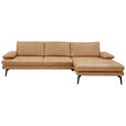 ECKSOFA Honig Echtleder  - Schwarz/Honig, Design, Leder/Metall (310/180cm) - Dieter Knoll