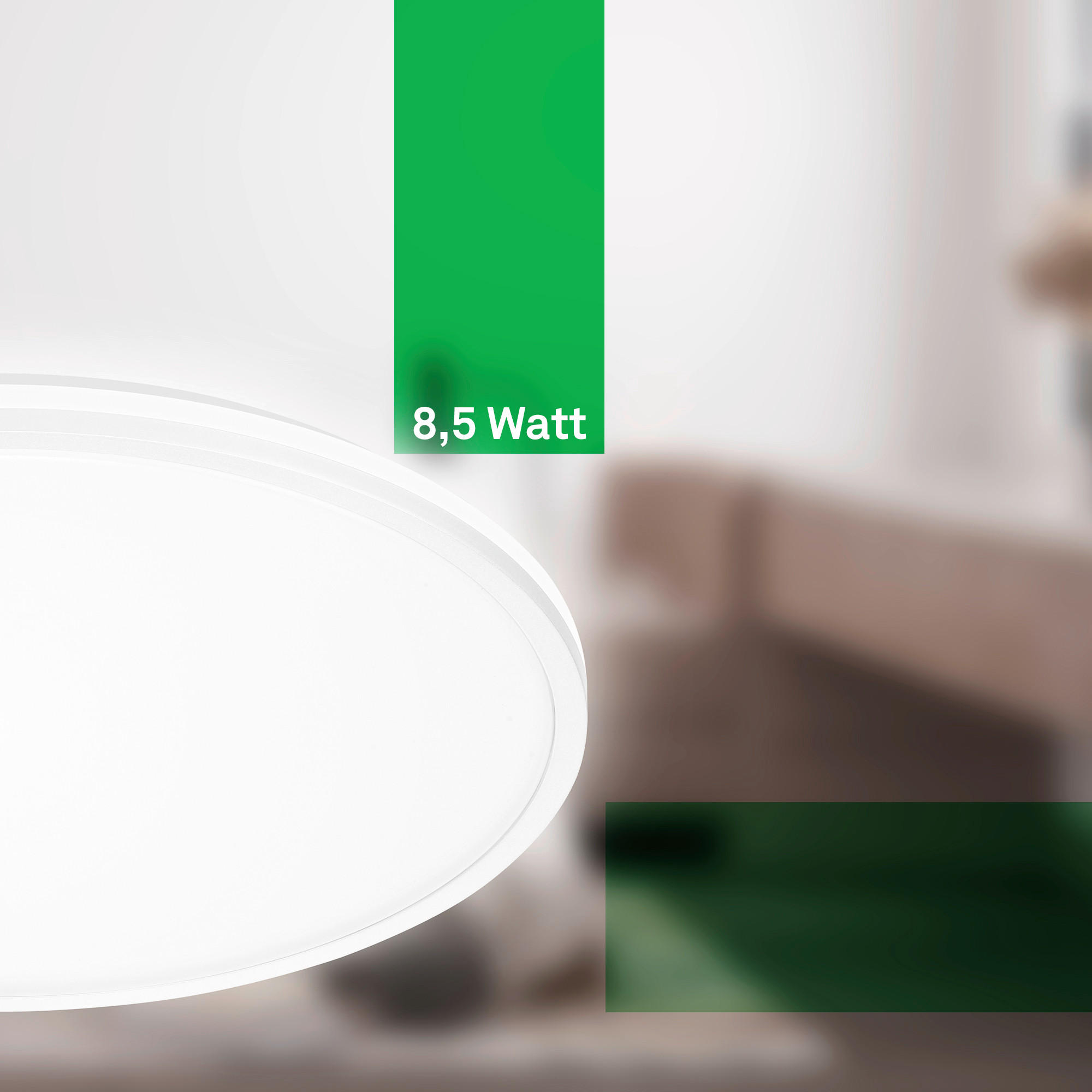 LED SVJETILJKA STROPNA  - Basics (33/6cm)
