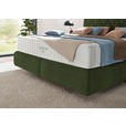 BOXSPRINGBETT 160/200 cm  in Olivgrün  - Schwarz/Olivgrün, Design, Kunststoff/Textil (160/200cm) - Johann Jakob