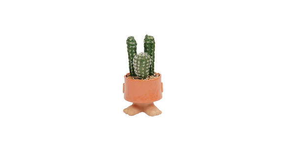 SUKKULENTE Sukkulente  - Terracotta/Grün, Natur, Keramik/Kunststoff (11/21/10cm) - Ambia Home