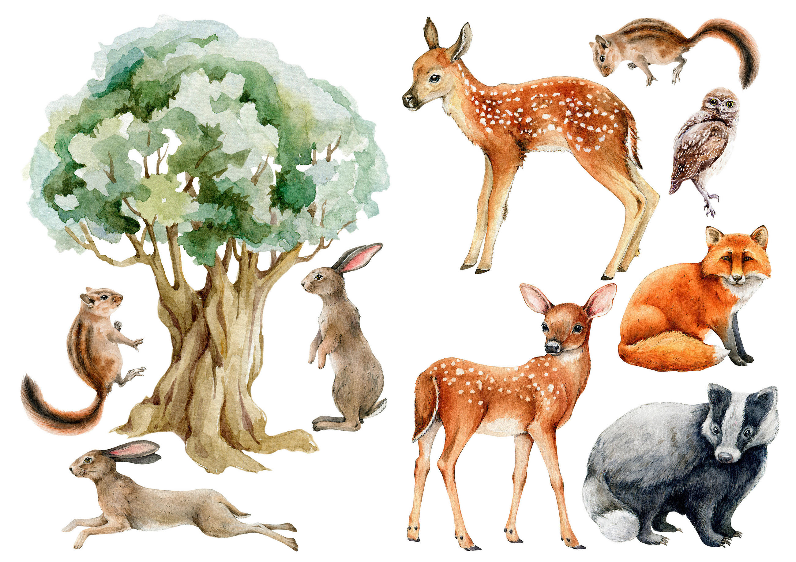 Euroart SAMOLEPKA NA ZEĎ