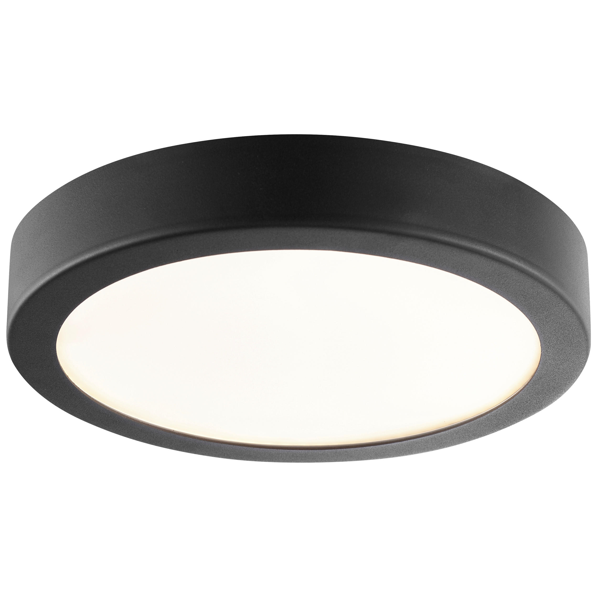 LED-DECKENLEUCHTE 25/4 cm   - Schwarz, Basics, Kunststoff/Metall (25/4cm) - Brilliant
