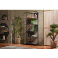 REGAL 76/180/33 cm Schwarz, Eichefarben - Eichefarben/Schwarz, Trend, Holzwerkstoff/Metall (76/180/33cm) - Xora