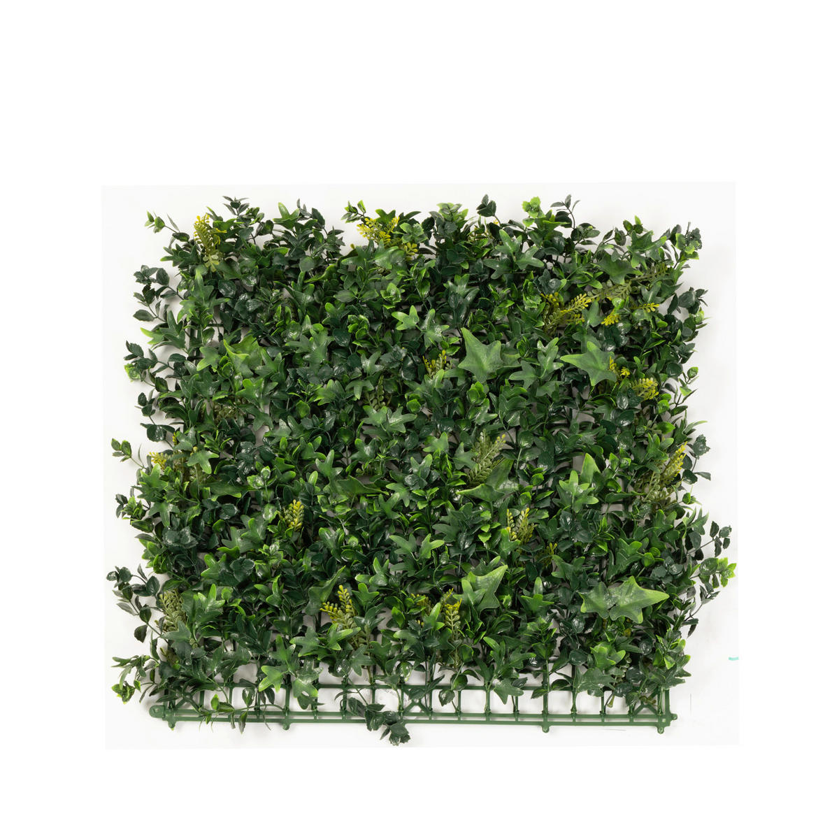 WANDVERKLEIDUNG - Jadegrün/Hellgrün, Trend, Kunststoff (50/50cm) - Floordirekt