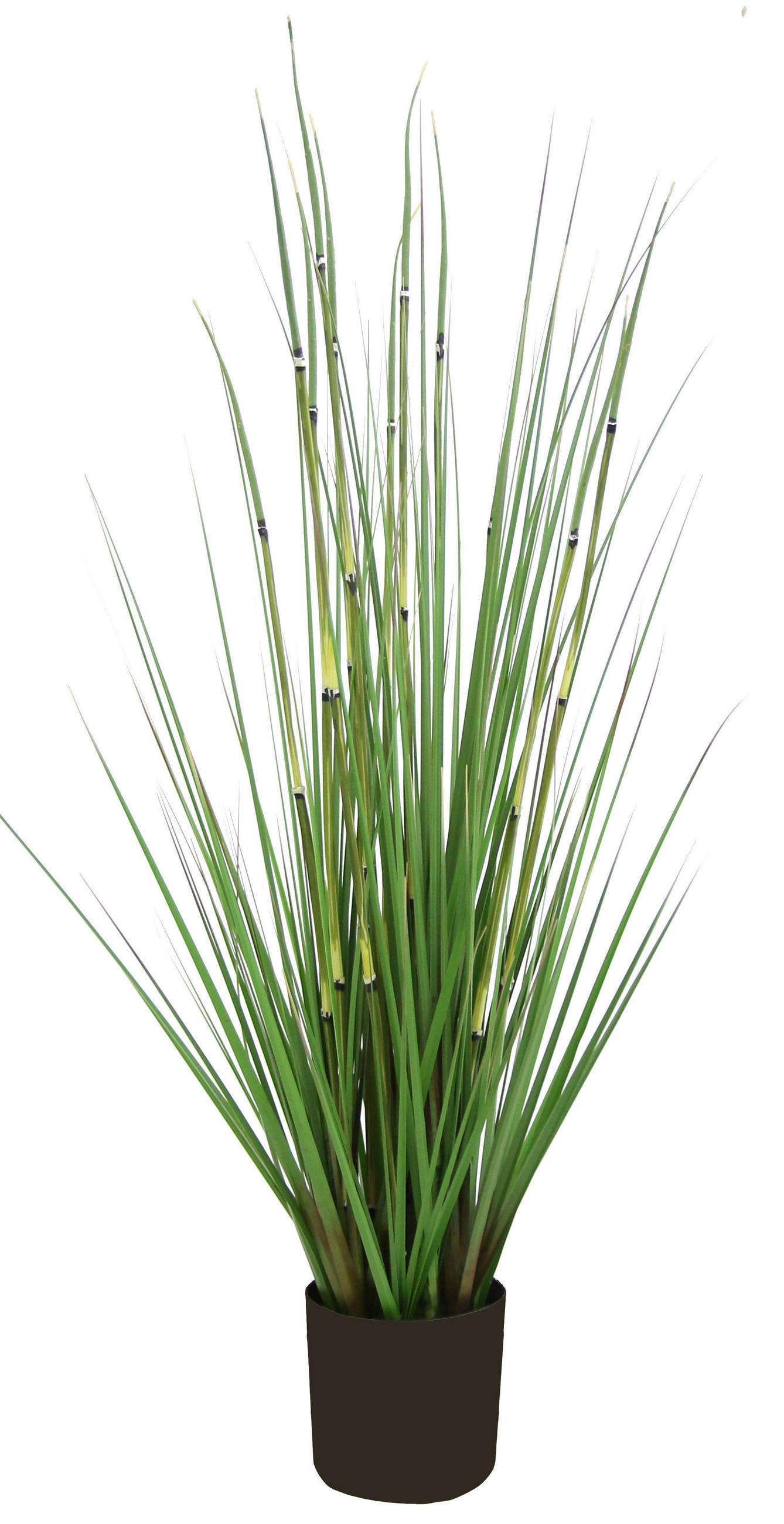 KUNSTPFLANZE 90 cm  - Schwarz/Grün, Basics (90cm) - Ambia Home