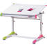 JUGENDSCHREIBTISCH Grün, Pink, Weiß - Pink/Weiß, Design, Metall (100/69-84/66cm) - Carryhome JUGENDSCHREIBTISCH Grün, Pink, Weiß - Pink/Weiß, Design, Metall (100/69-84/66cm) - Carryhome