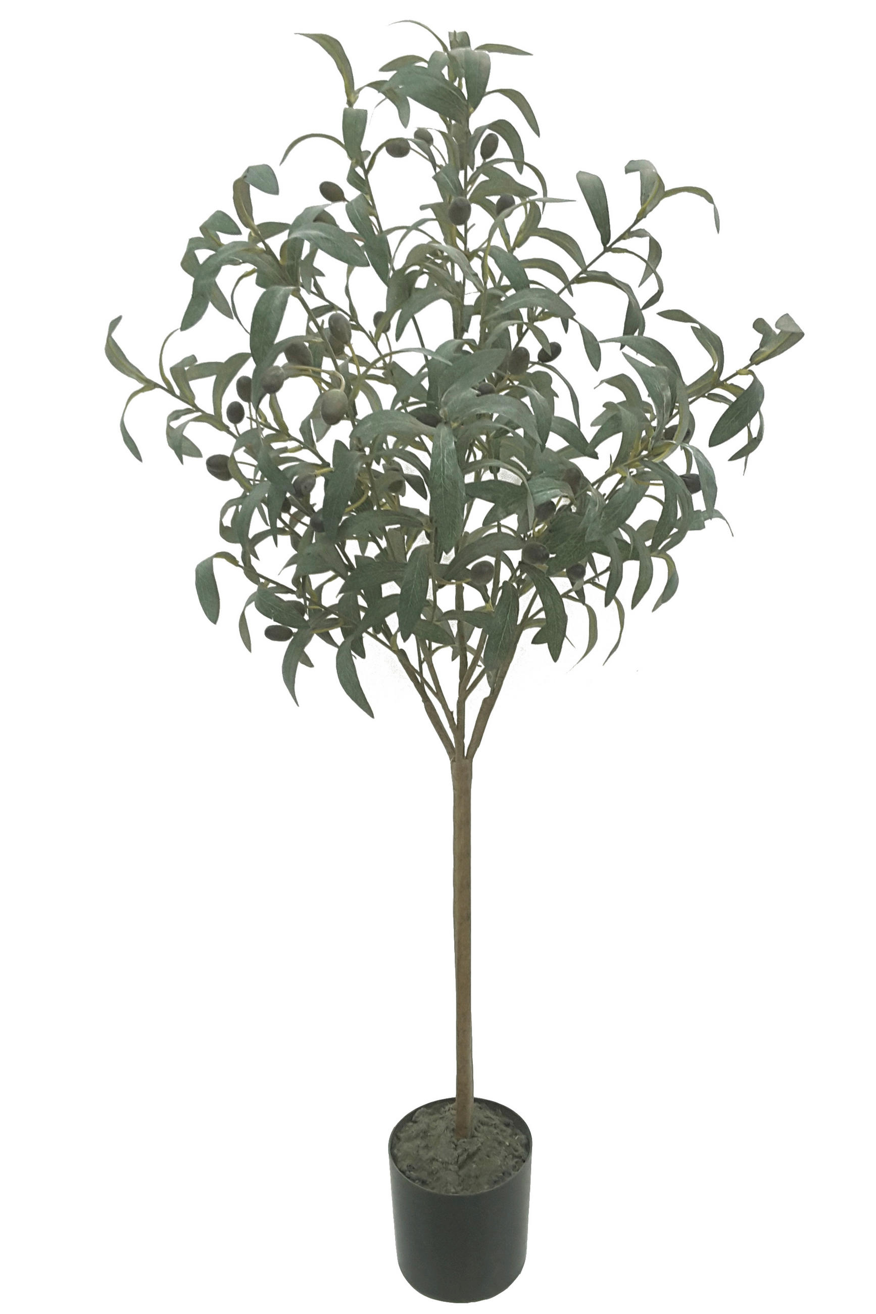 Ambia Home Kunstpflanze Olivgrün 100 cm