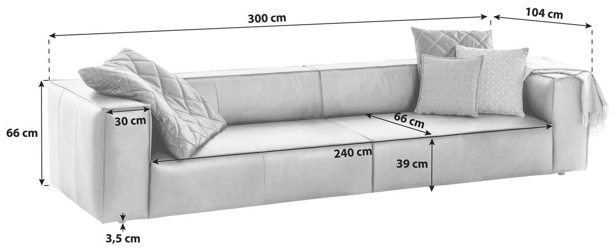 VIERSITZER-SOFA Echtleder Hellgrau  - Hellgrau/Schwarz, Modern, Leder/Kunststoff (300/66/104cm) - W.Schillig