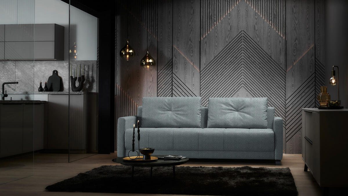SCHLAFSOFA Flachgewebe Alufarben Stoffauswahl, Schlafen auf Sitzhöhe, Bettfunktion erhältlich, Armteil links, Armteil rechts, haustierfreundlicher Bezug  - Schwarz/Alufarben, Konventionell, Textil/Metall (232/77/116cm) - Dieter Knoll