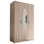 DREHTÜRENSCHRANK  in Sonoma Eiche  - Alufarben/Sonoma Eiche, KONVENTIONELL, Glas/Holzwerkstoff (120/195/55cm) - Carryhome