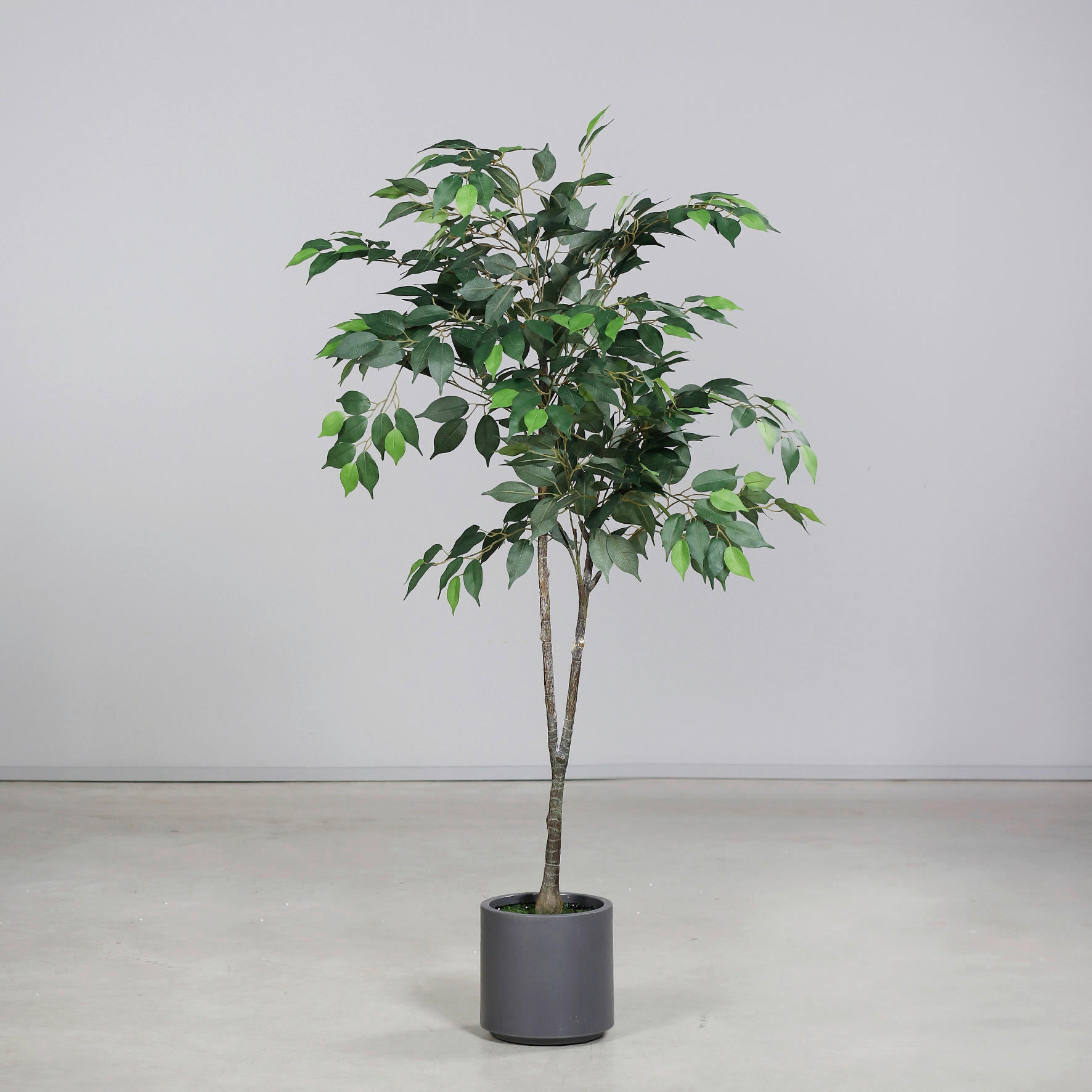 KUNSTPFLANZE 140 cm  - Grau/Grün, Basics, Kunststoff (140cm)