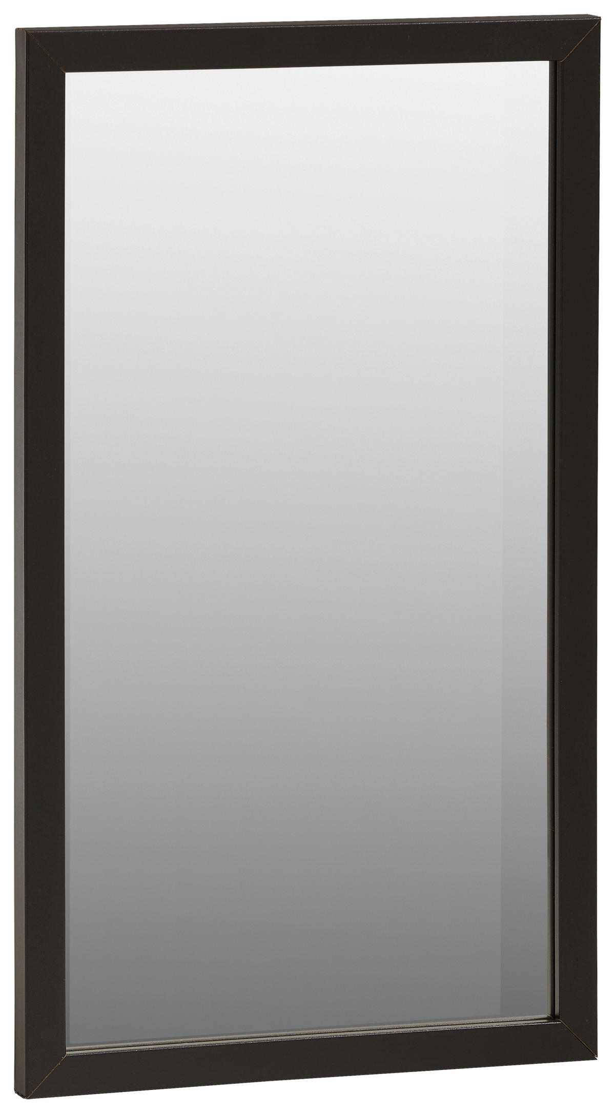 STENSKO OGLEDALO, 27/47/1,9 cm steklo  - črna, Design, steklo/leseni material (27/47/1,9cm) - Carryhome