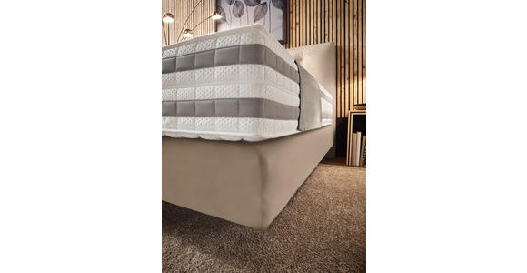 BOXSPRINGBETT 160/200 cm  in Beige  - Beige, KONVENTIONELL, Holz/Textil (160/200cm) - Dieter Knoll