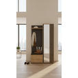 GARDEROBE 5-teilig  in 114/197/40 cm  - Schwarz/Eiche Artisan, Design, Glas/Holzwerkstoff (114/197/40cm) - Carryhome
