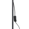 STEHLEUCHTE 35,5/18/154,50 cm  - Schwarz, Trend, Kunststoff/Metall (35,5/18/154,50cm) - Novel