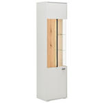 VITRINE Eschefarben, Hellgrau  53,5/204/37,4 cm  - Anthrazit/Eschefarben, KONVENTIONELL, Glas/Holz (53,5/204/37,4cm) - Hom`in