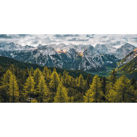 VLIESTAPETE  - Natur (200/100cm) - Komar