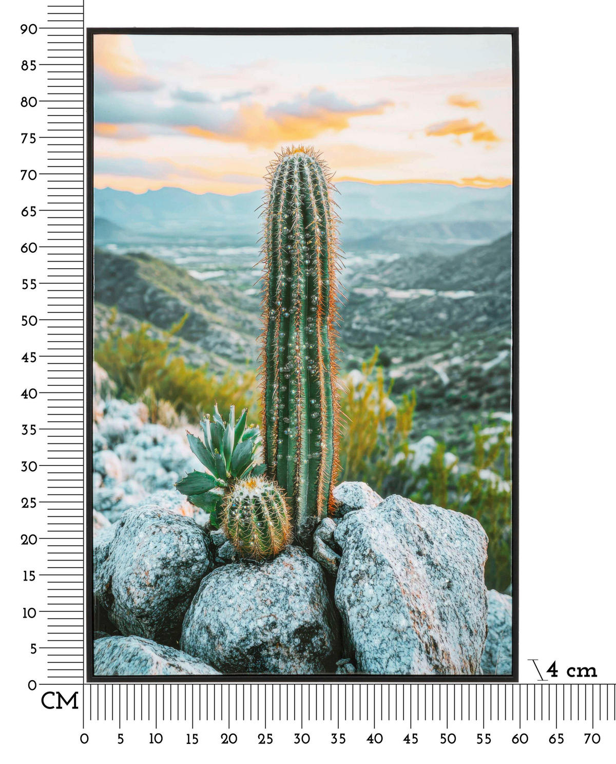 LEINWANDBILD Landschaft & Natur  - Schwarz, Basics, Holz/Kunststoff (60/90/4cm)