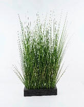 MŰNÖVÉNY - fekete/zöld, Basics, műanyag