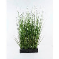 MŰNÖVÉNY - fekete/zöld, Basics, műanyag