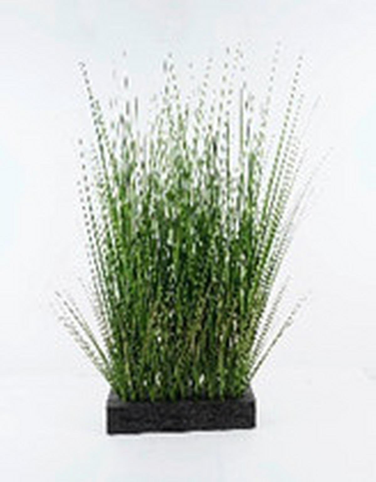 MŰNÖVÉNY - fekete/zöld, Basics, műanyag