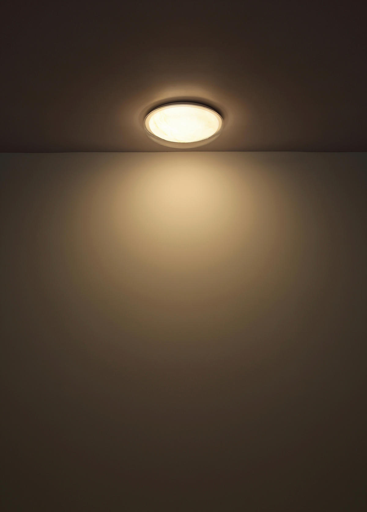 STROPNÍ LED SVÍTIDLO, 38,5/8 cm  - bílá/čiré, Basics, kov/plast (38,5/8cm) - Globo