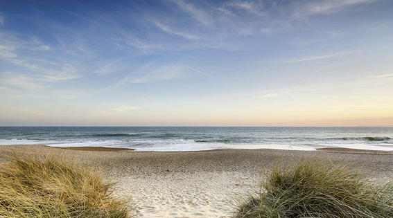 Acrylglasbilder ǀ Stilvolle Bilder Aus Acrylglas Kaufen Xxxlutz