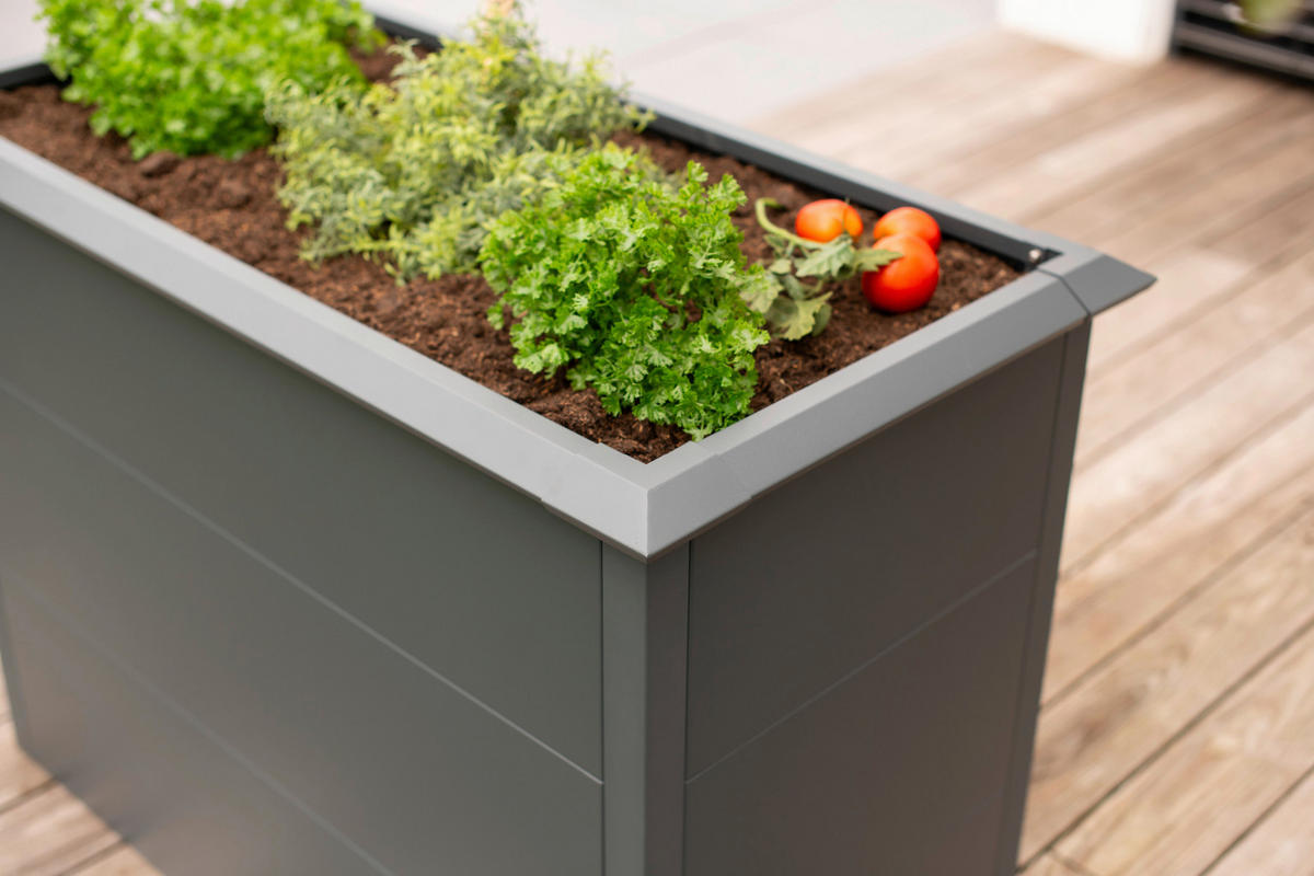 HOCHBEET Primus  - Anthrazit, KONVENTIONELL, Metall (50/100/77cm) - Ambia Garden