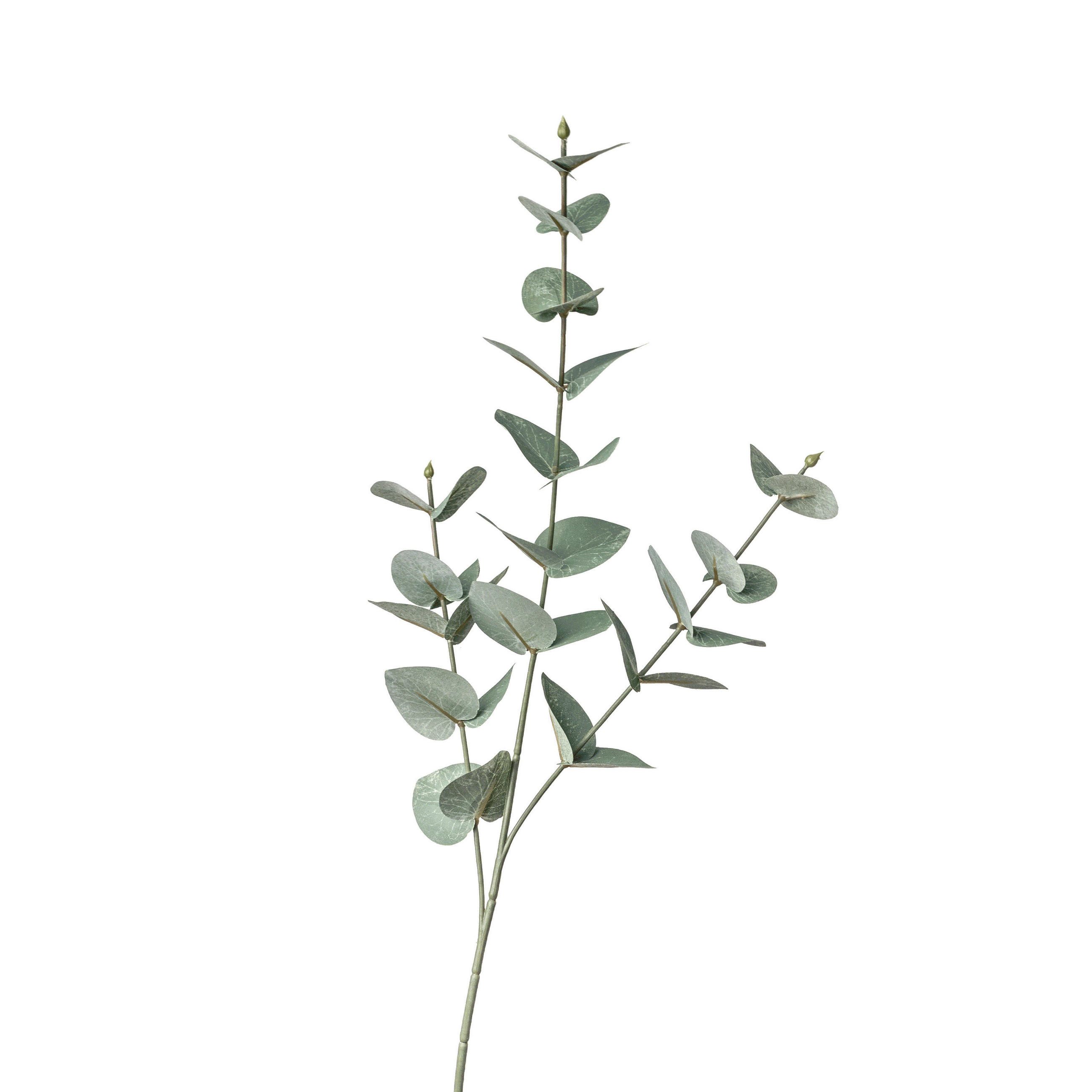 DEKOZWEIG Eukalyptus  - Weiß/Grün, Basics, Kunststoff/Textil (68cm)