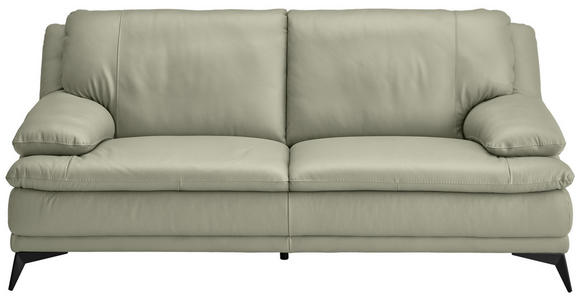 2,5-SITZER Taupe Echtleder  - Taupe/Schwarz, Design, Leder/Metall (212/92/98cm) - Novel