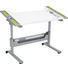 JUGENDSCHREIBTISCH Limette, Silberfarben, Weiß - Limette/Silberfarben, Design, Kunststoff/Metall (120,4/53-79/70,4cm) - Paidi