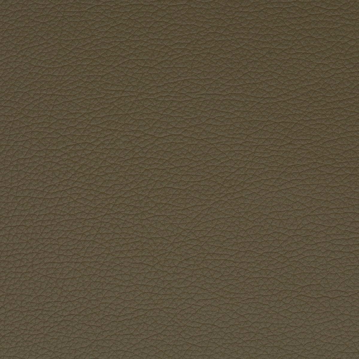 RELAXSESSEL TV TRIPLE SEVEN XTRA LARGE S1 Echtleder Kopfteilverstellung, Fußteilverstellung, Rücken echt    - Schwarz/Olivgrün, Basics, Leder/Metall (86/111/86cm) - Sit & More