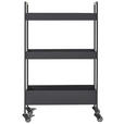 SERVIERWAGEN Schwarz  - Schwarz, Design, Kunststoff/Metall (50/86/30cm) - Xora