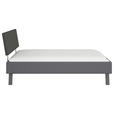 BETT 120/200 cm  in Grau  - Grau, Design, Holzwerkstoff/Textil (120/200cm) - Carryhome