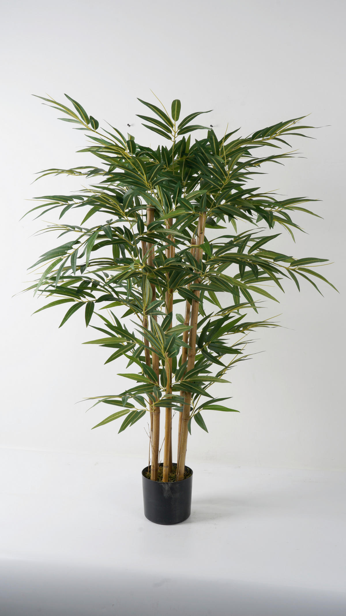 MŰNÖVÉNY - fekete/zöld, Basics, műanyag